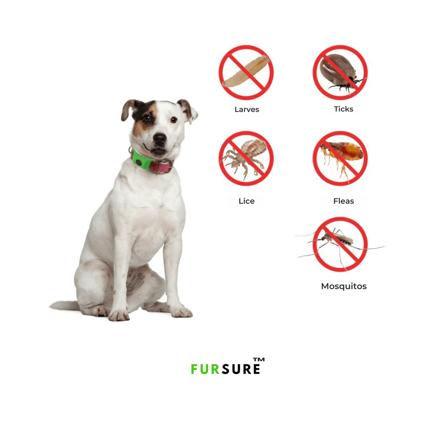 FurSure™ - 12 Months Protection for Dogs