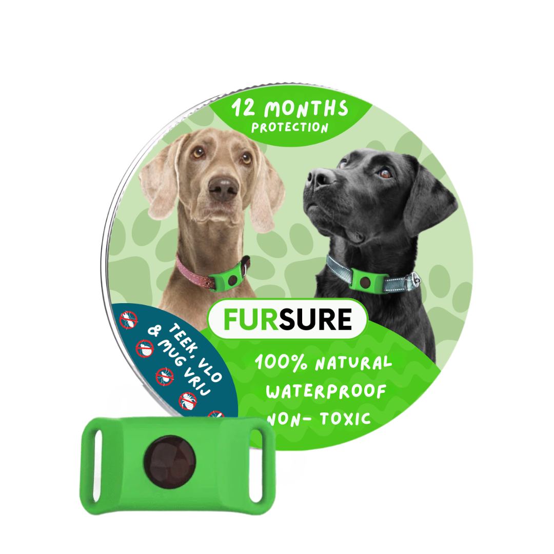 FurSure™ - 12 Months Protection for Dogs