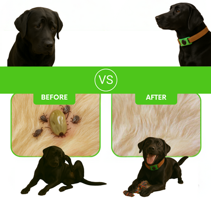 FurSure™ - 12 Months Protection for Dogs